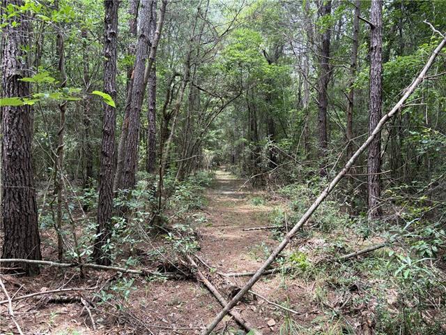 0 Thigpen Road Franklinton, LA 70438 - Photo 18 of 34