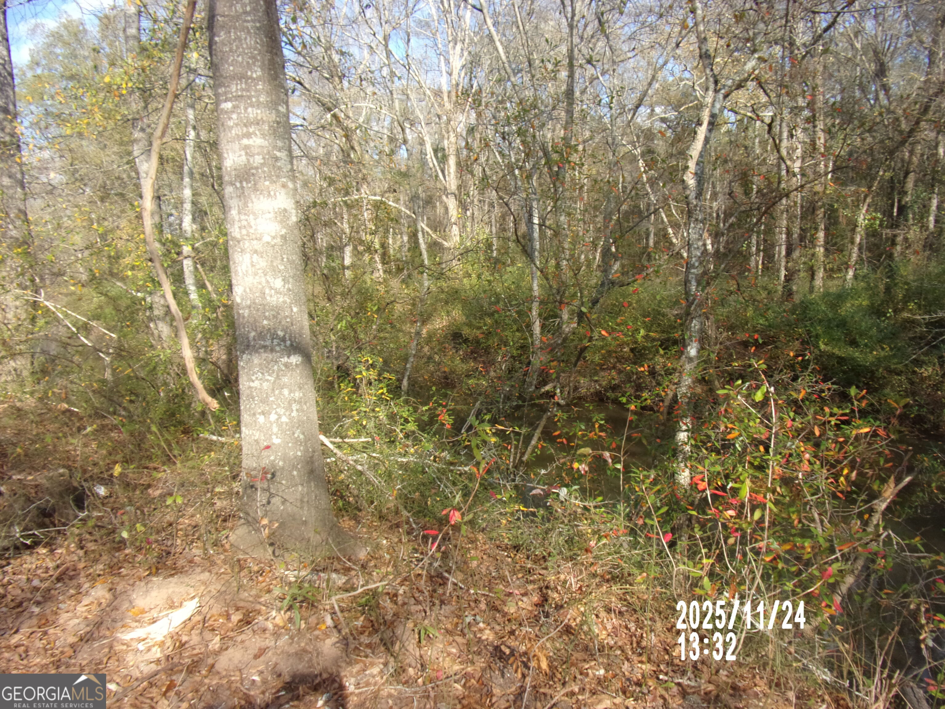 781 North Delray Road Thomaston, GA 30286 - Photo 19 of 63 a view of a yard of a house