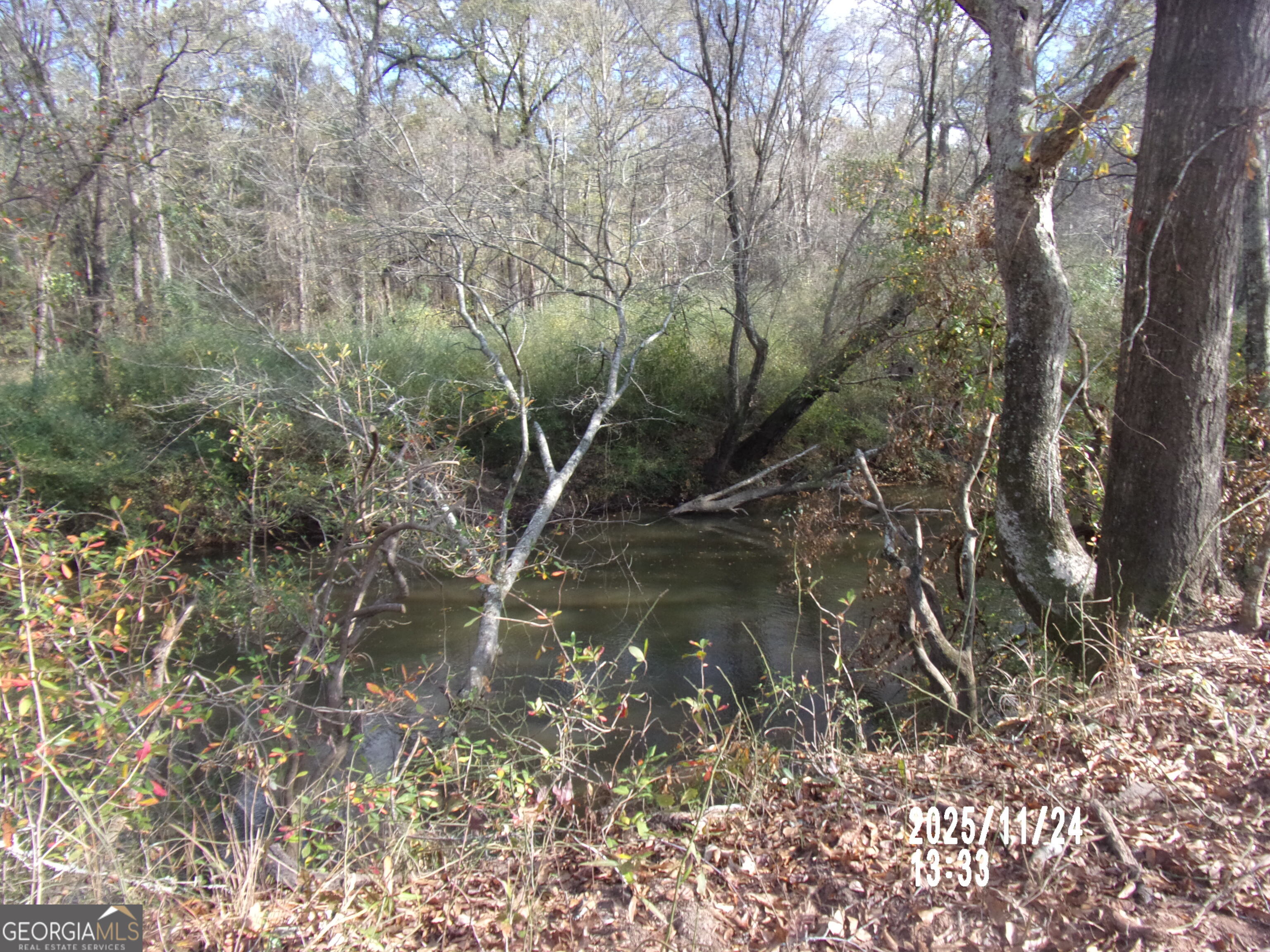 781 North Delray Road Thomaston, GA 30286 - Photo 20 of 63