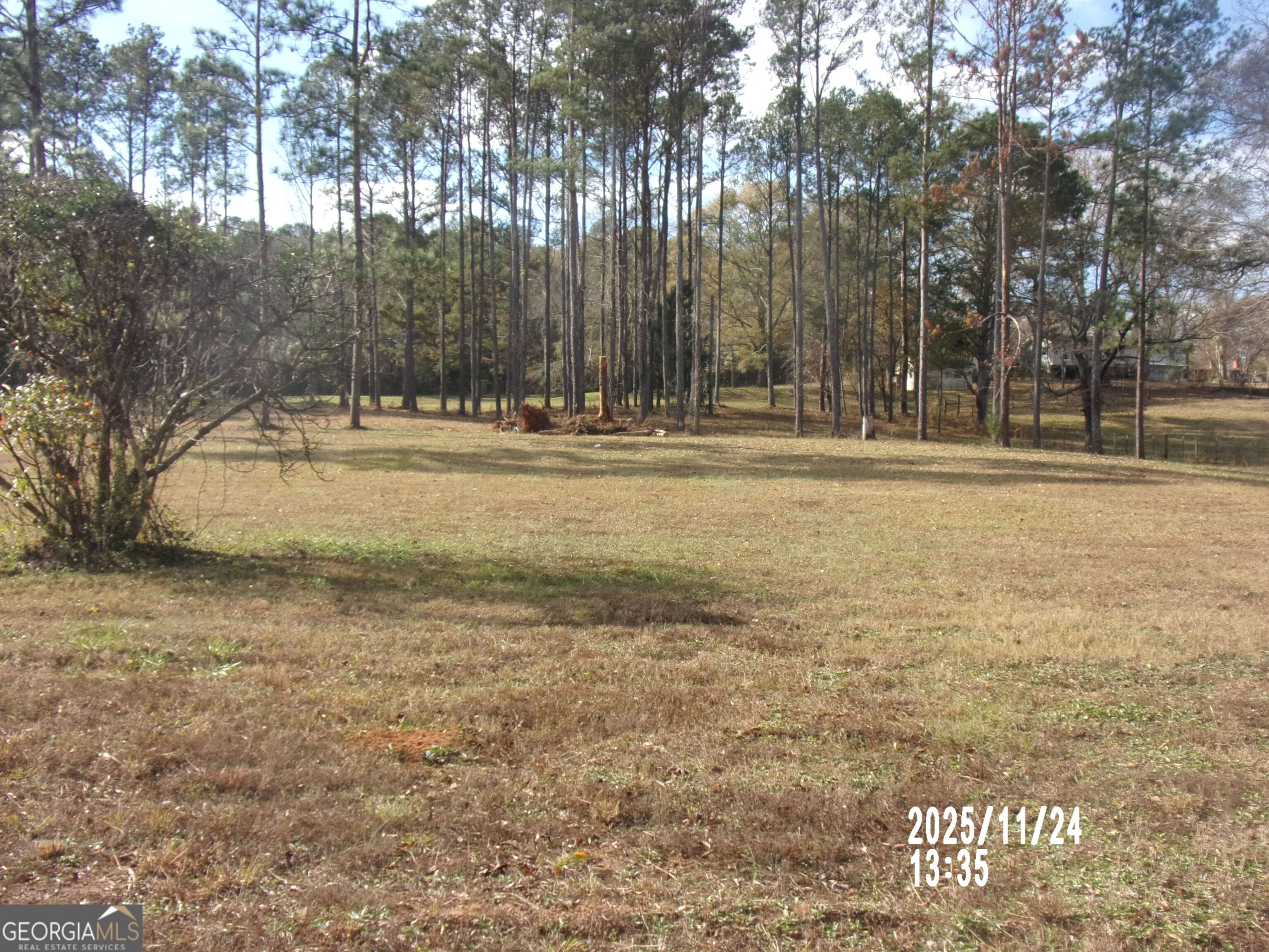 781 North Delray Road Thomaston, GA 30286 - Photo 24 of 63 a view of open space with yard and trees