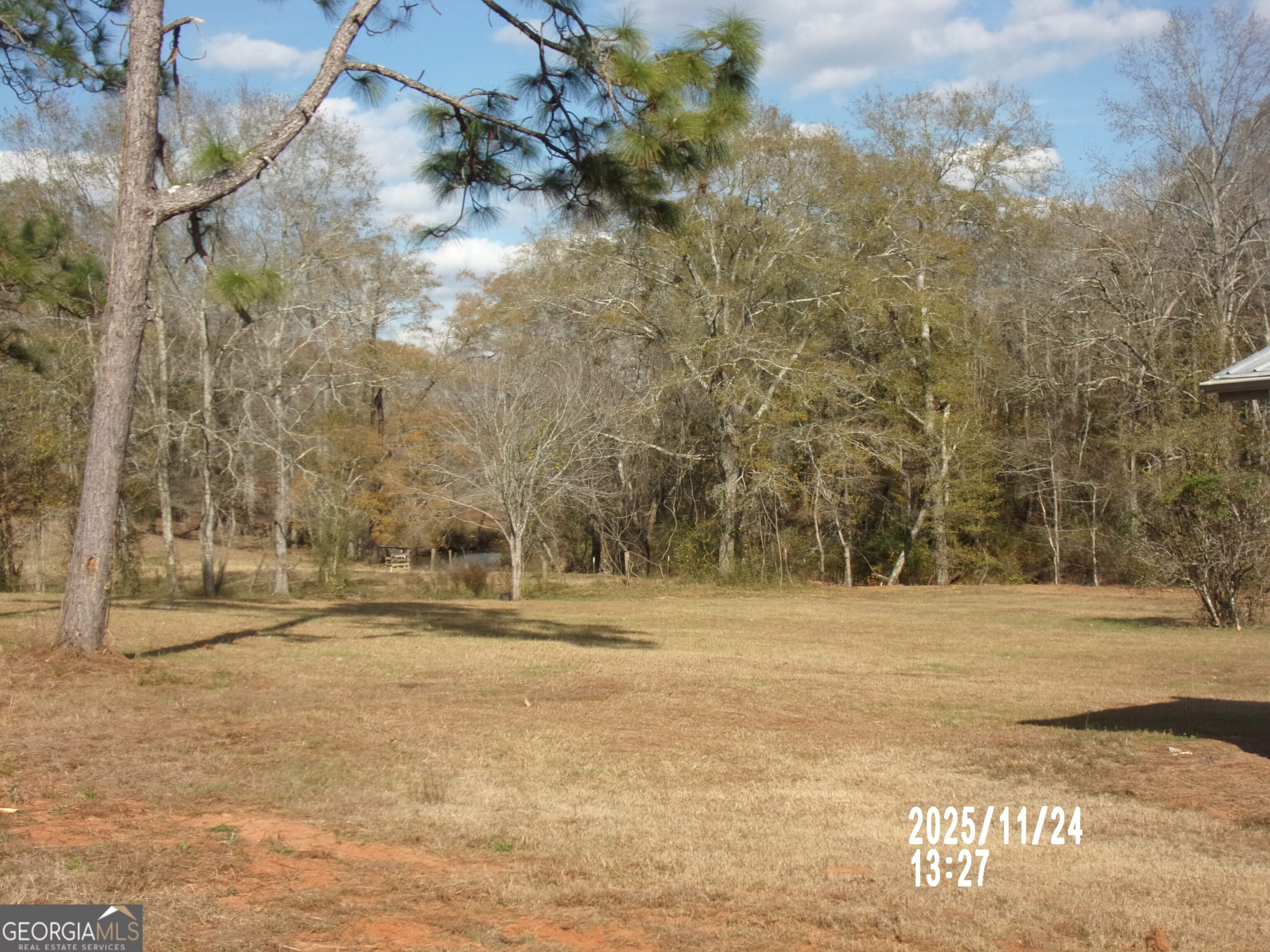 781 North Delray Road Thomaston, GA 30286 - Photo 5 of 63 a view of dirt yard with large trees