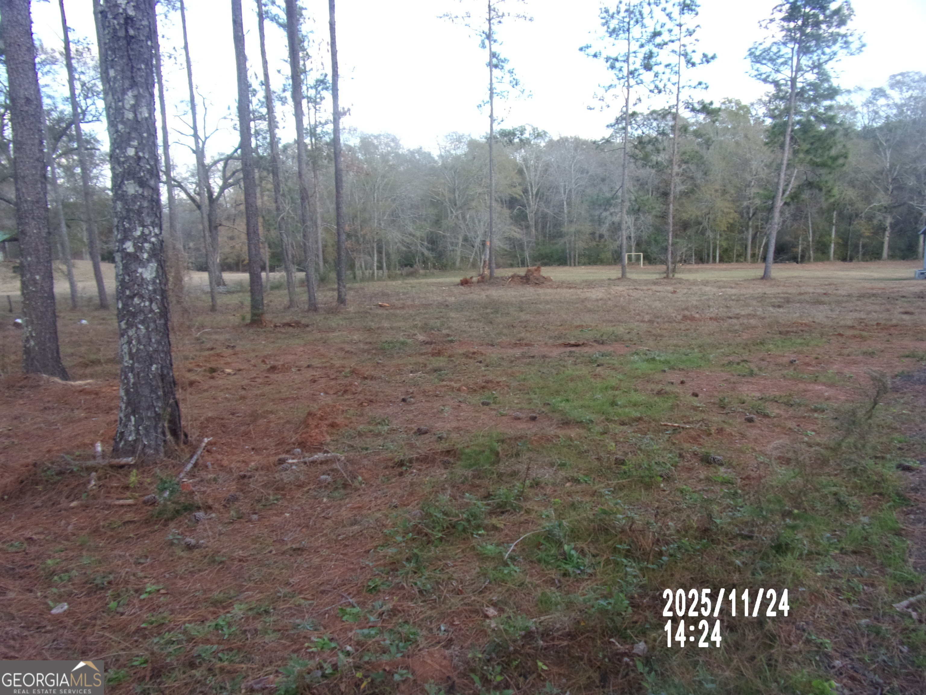 781 North Delray Road Thomaston, GA 30286 - Photo 60 of 63 a view of outdoor space with trees all around