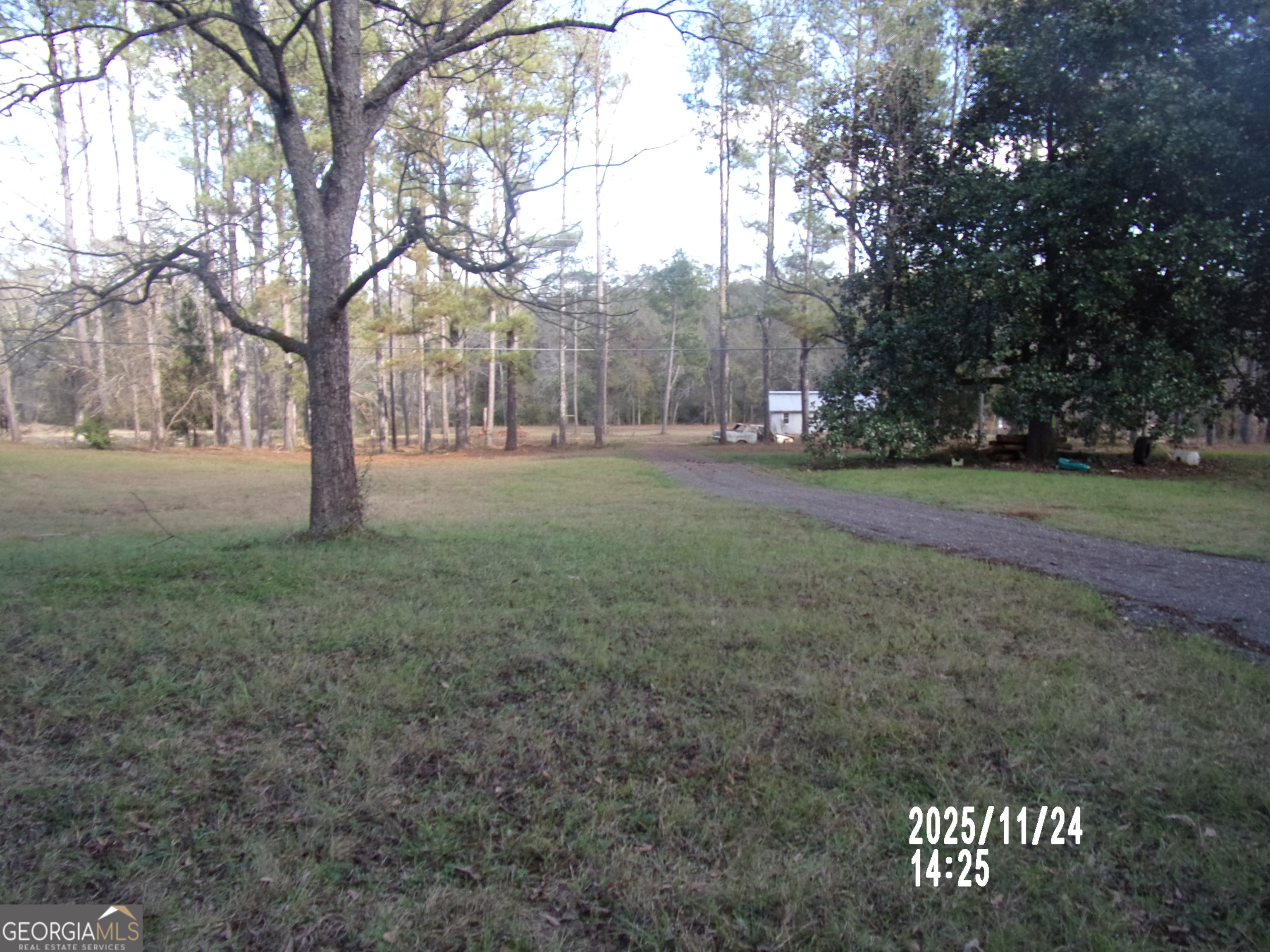 781 North Delray Road Thomaston, GA 30286 - Photo 62 of 63 a view of a field with trees in the background