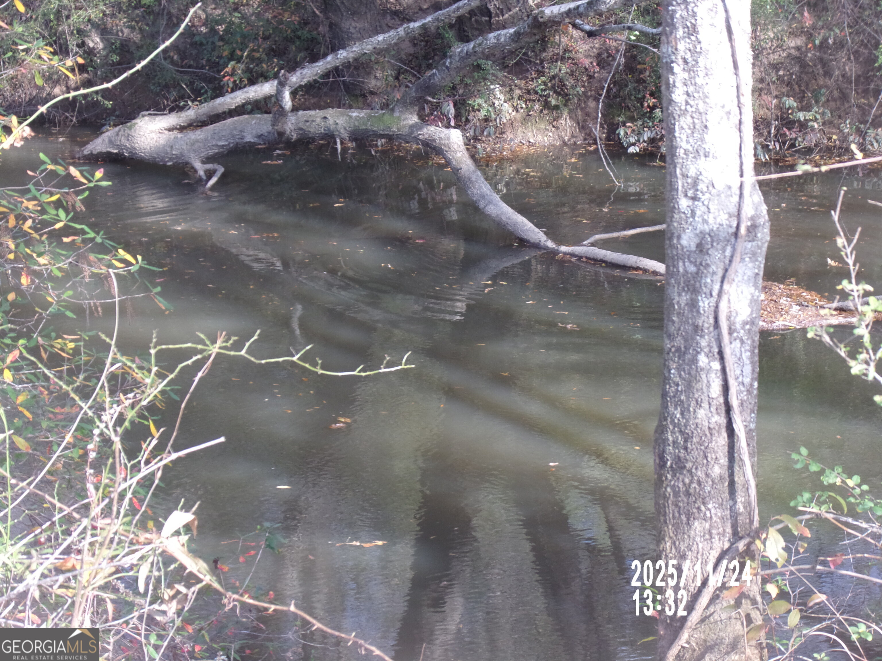 781 North Delray Road Thomaston, GA 30286 - Photo 7 of 63 a view of a forest