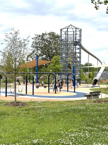 a view of water with palm trees