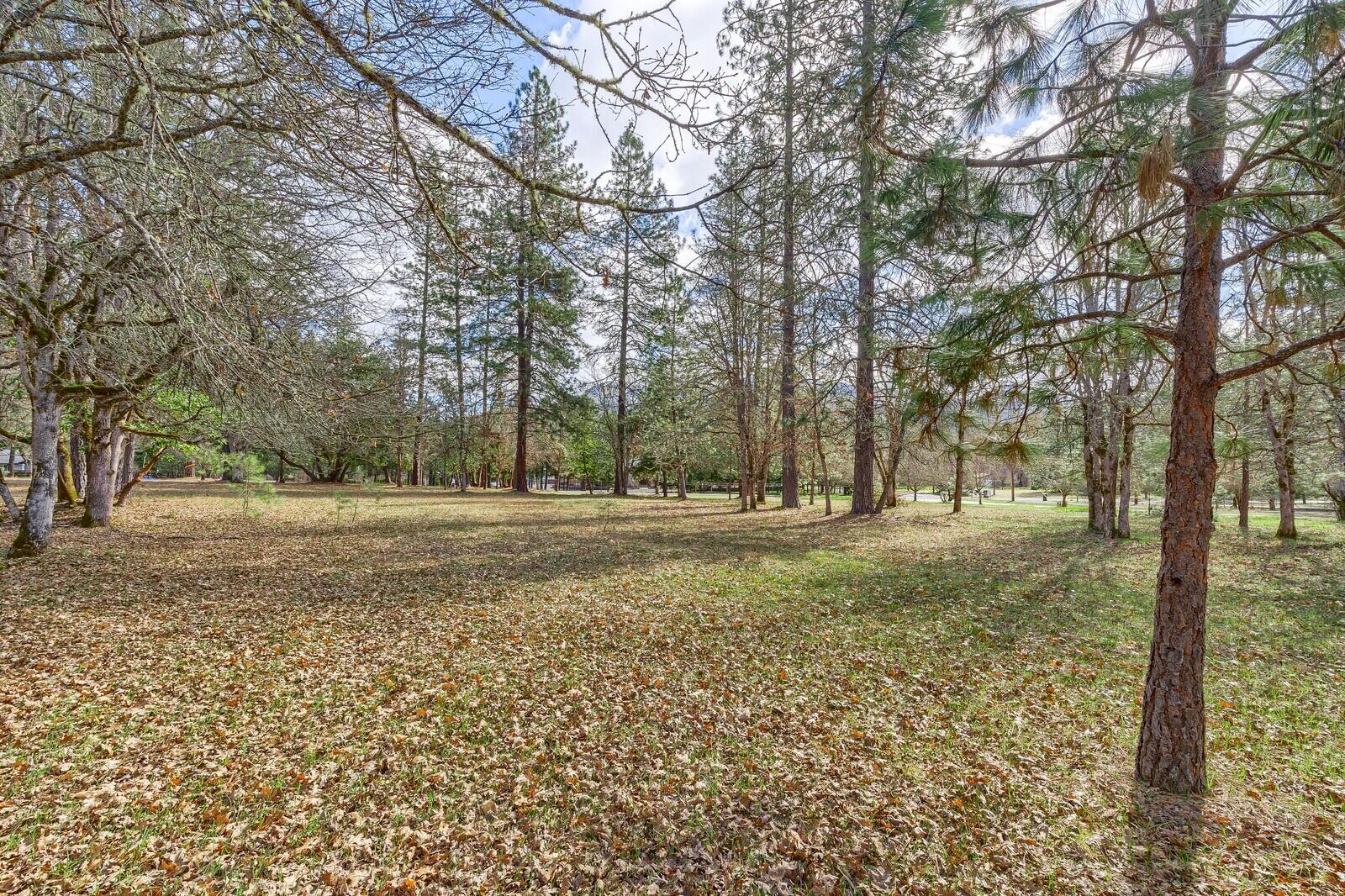 2021 Pine Grove Road Rogue River, OR 97537 - Photo 45 of 50 15_PGR_15_mls