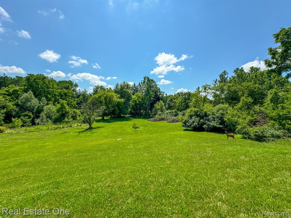 30600 Lahser Road Beverly Hills, MI 48025 - Photo 11 of 59