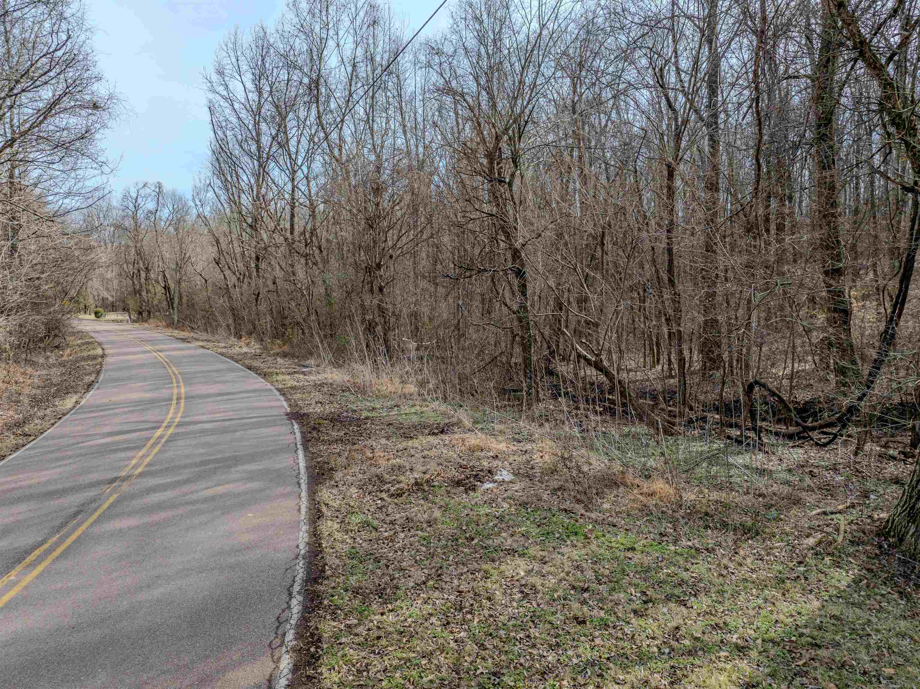 5155 Benjestown Road Memphis, TN 38127 - Photo 28 of 36 a view of a backyard