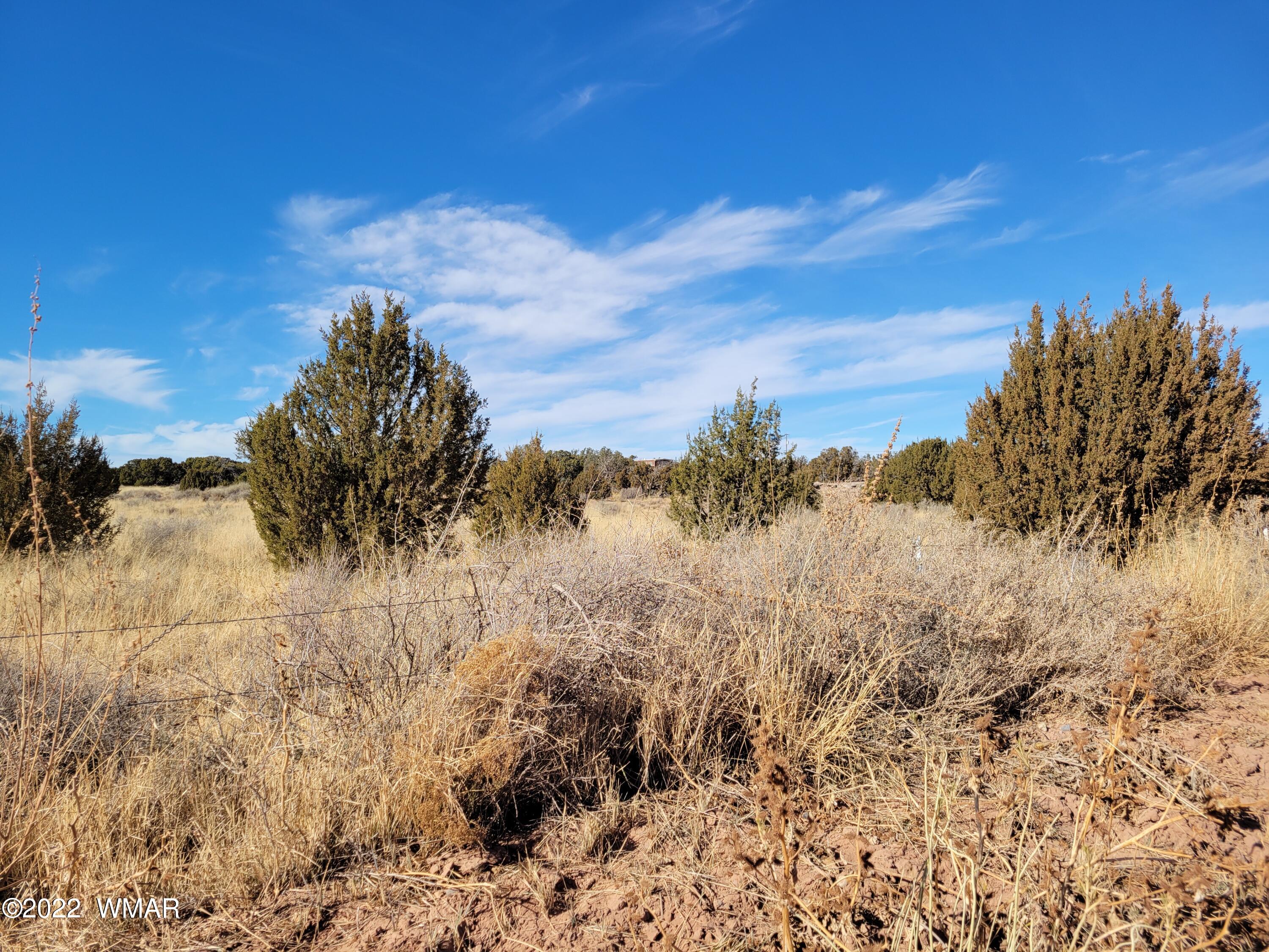 4596 El Dorado Road Snowflake, AZ 85937 - Photo 24 of 32 20211222_120507