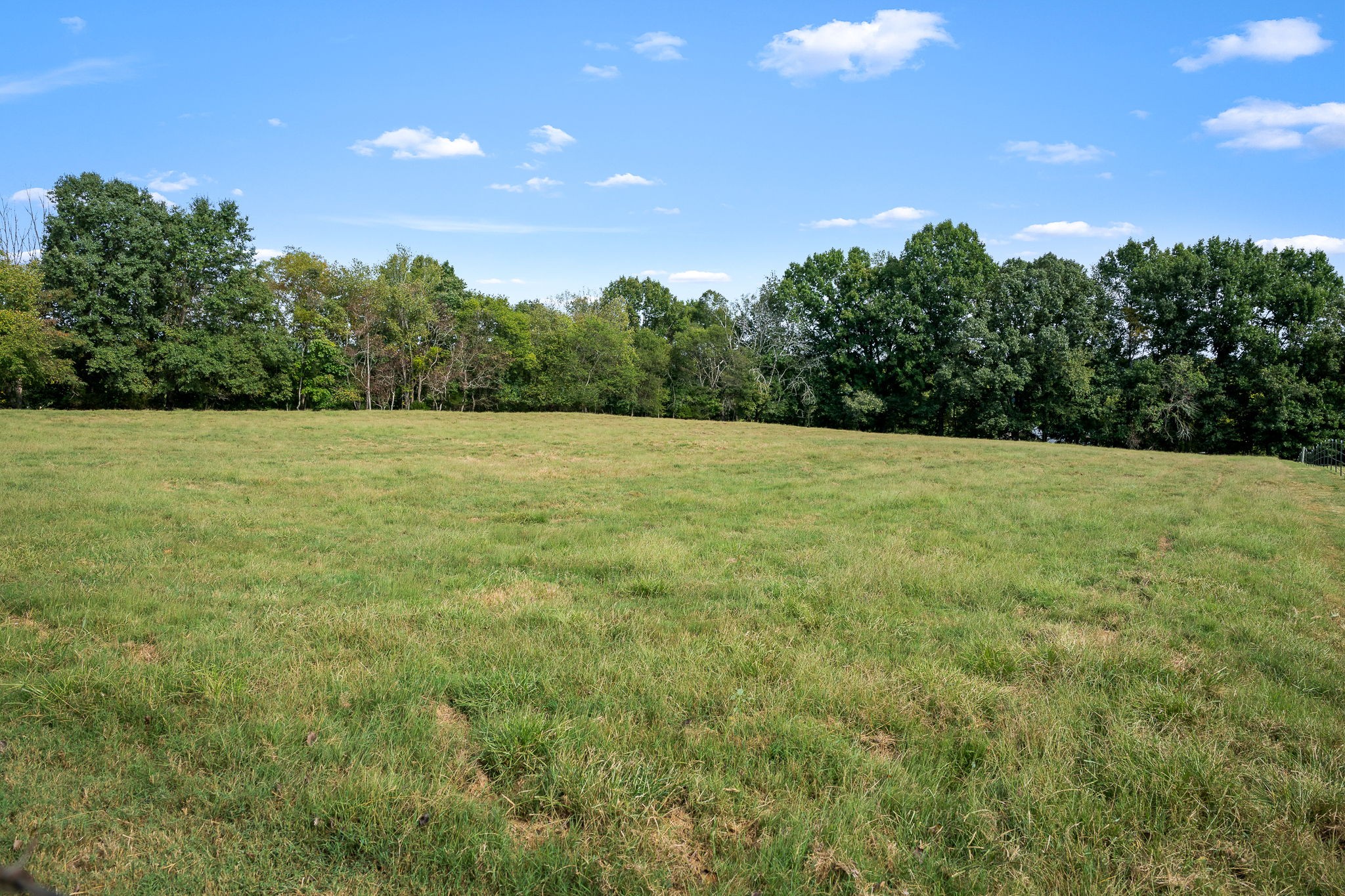 3466 Foster Chapel Road Williamsport, TN 38487 - Photo 97 of 100 Gallery Image 97