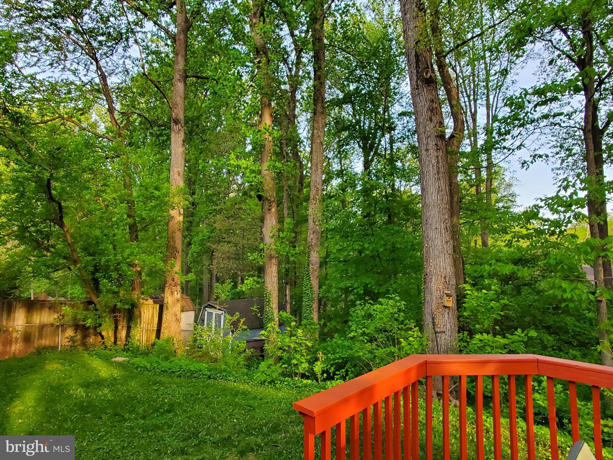 1516 Winding Waye Lane Silver Spring, MD 20902 - Photo 47 of 55 a view of a backyard with a garden