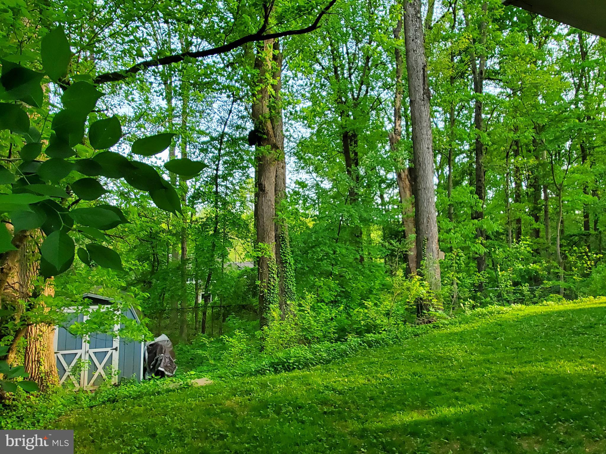 1516 Winding Waye Lane Silver Spring, MD 20902 - Photo 50 of 55 a backyard of a house with lots of green space and forest