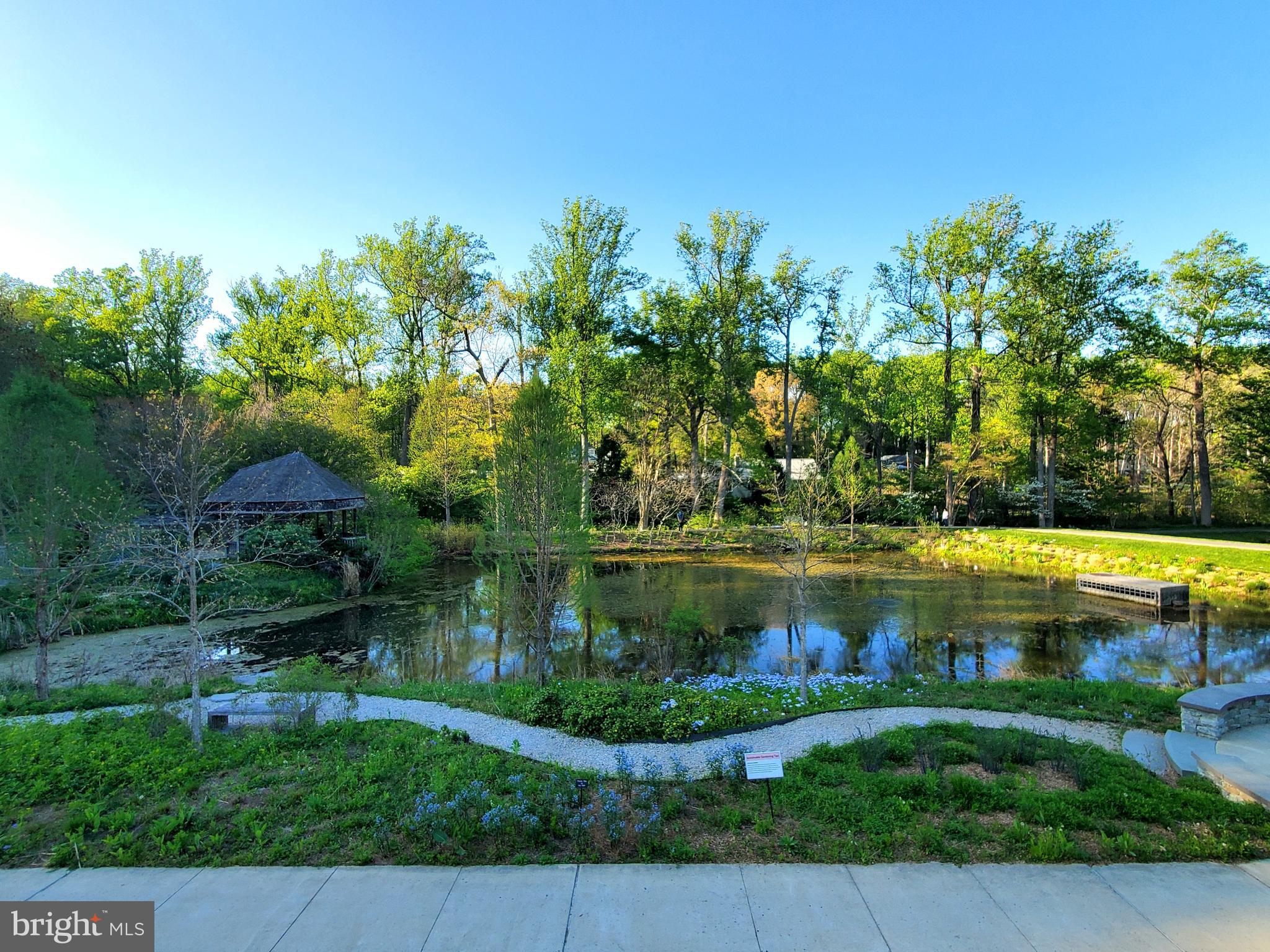 1516 Winding Waye Lane Silver Spring, MD 20902 - Photo 55 of 55 a view of a lake with a yard and large trees