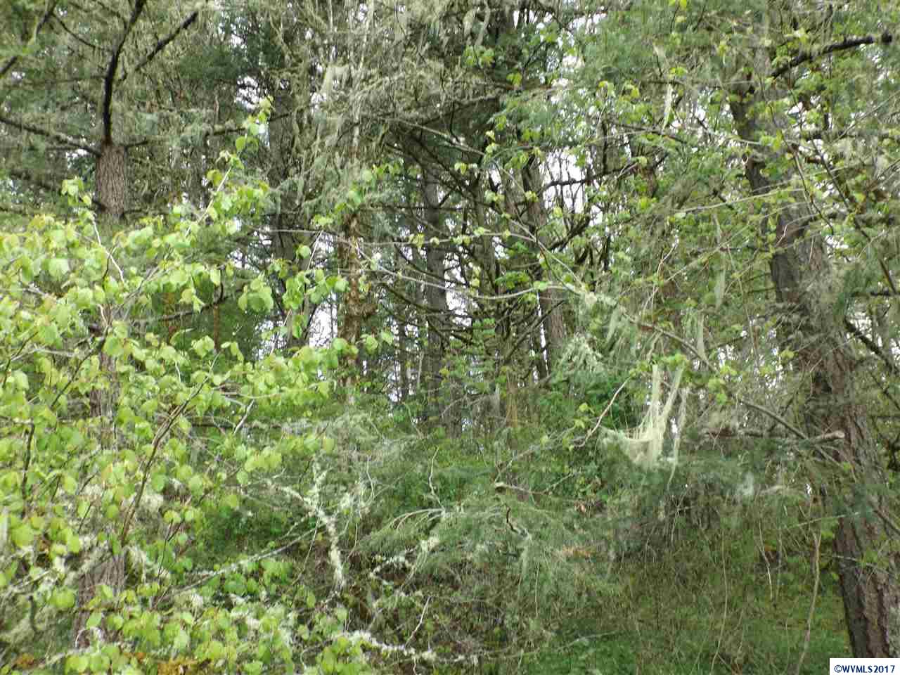Weldon (lot 209) Road Lebanon, OR 97355 - Photo 15 of 17