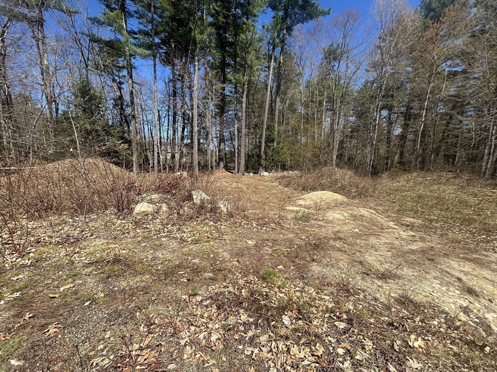 53 West Meadow Road Townsend, MA 01474 - Photo 3 of 4 a view of a yard with trees
