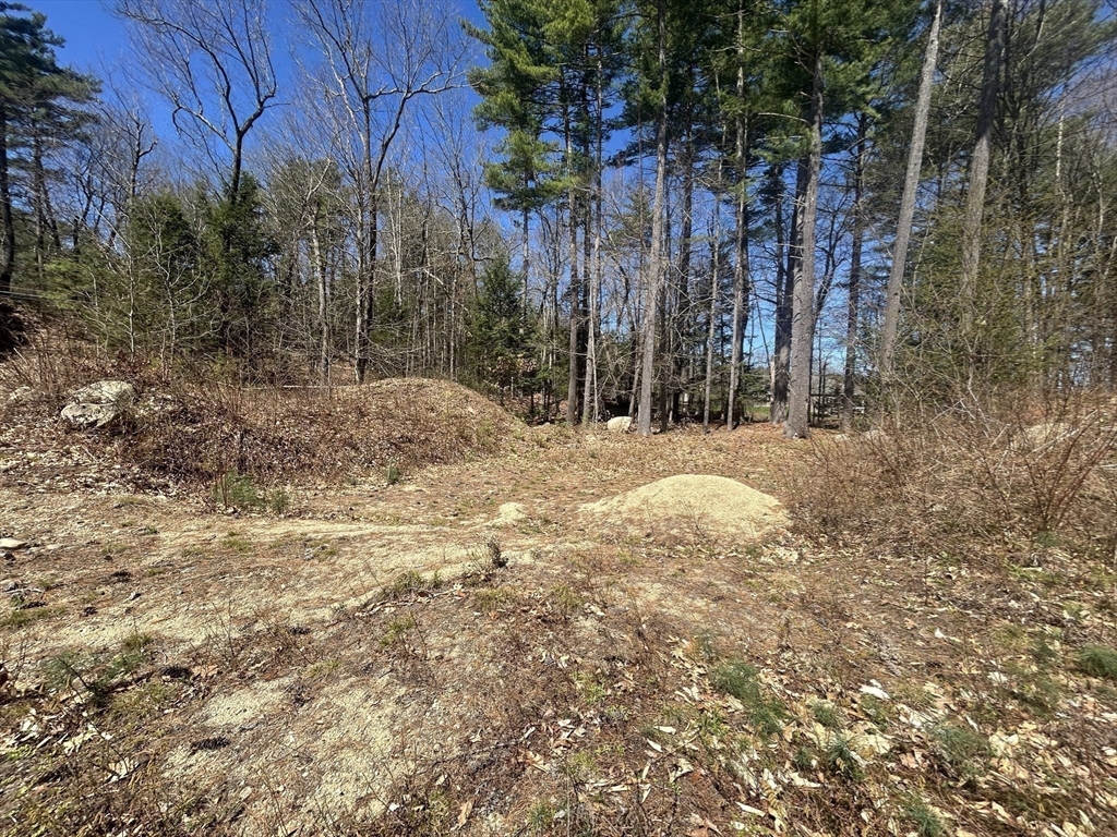 53 West Meadow Road Townsend, MA 01474 - Photo 4 of 4 a view of a yard with trees