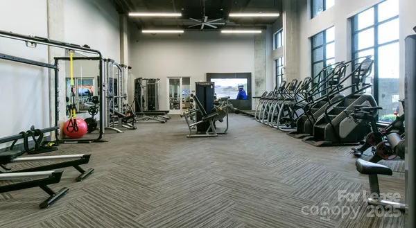 $1,551 | 145 New Bern Street, Unit S1, Charlotte, NC 28209