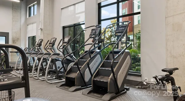 $1,590 | 145 New Bern Street, Unit S1, Charlotte, NC 28209