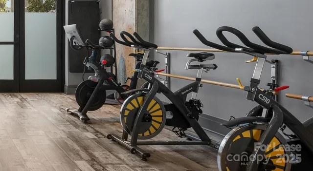 $1,590 | 145 New Bern Street, Unit S1, Charlotte, NC 28209