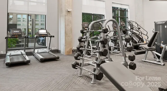 $1,590 | 145 New Bern Street, Unit S1, Charlotte, NC 28209