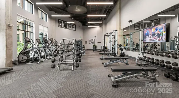 $1,551 | 145 New Bern Street, Unit S1, Charlotte, NC 28209