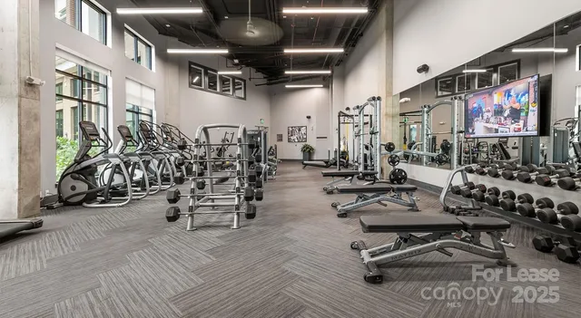 $1,590 | 145 New Bern Street, Unit S1, Charlotte, NC 28209