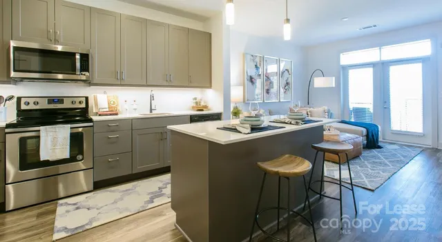 $1,590 | 145 New Bern Street, Unit S1, Charlotte, NC 28209