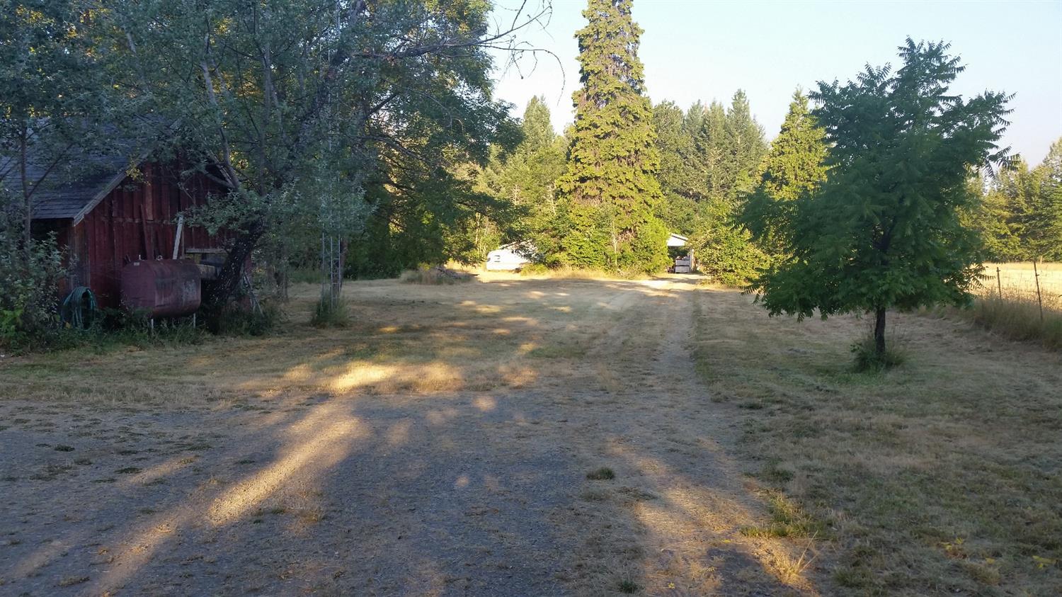 6442 Holland Loop Road Cave Junction, OR 97523 - Photo 3 of 9 Portion of old home on left side, drivew