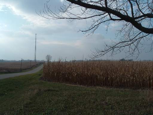 0 Lievan Dixon, IL 61021 - Photo 1 of 1 a view of a backyard of the house