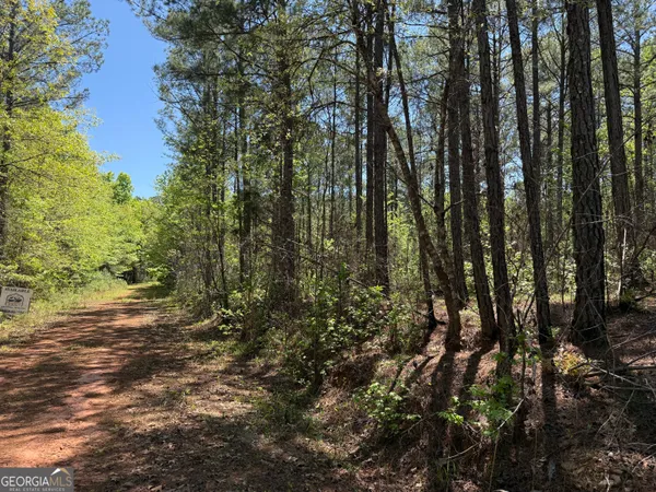 $160,000 | 19.74-acres Davis Lake Road, Pine Mountain, GA 31822