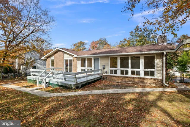 a view of a yard with plants and trees