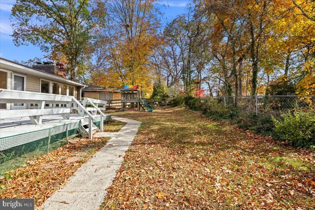 a view of a yard with large trees