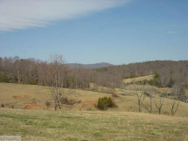 0 Elamsville Road Stuart, VA 24171 - Photo 1 of 16 Other.