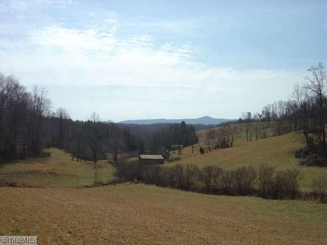 0 Elamsville Road Stuart, VA 24171 - Photo 12 of 16 Other.