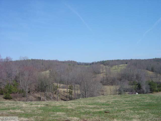 0 Elamsville Road Stuart, VA 24171 - Photo 13 of 16 Other.