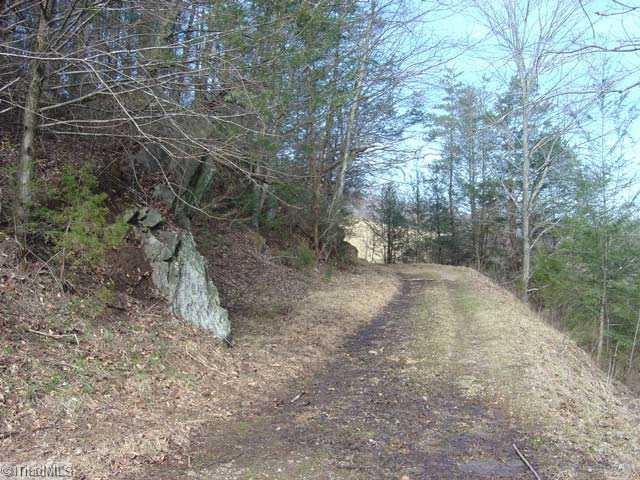 0 Elamsville Road Stuart, VA 24171 - Photo 3 of 16 Other.