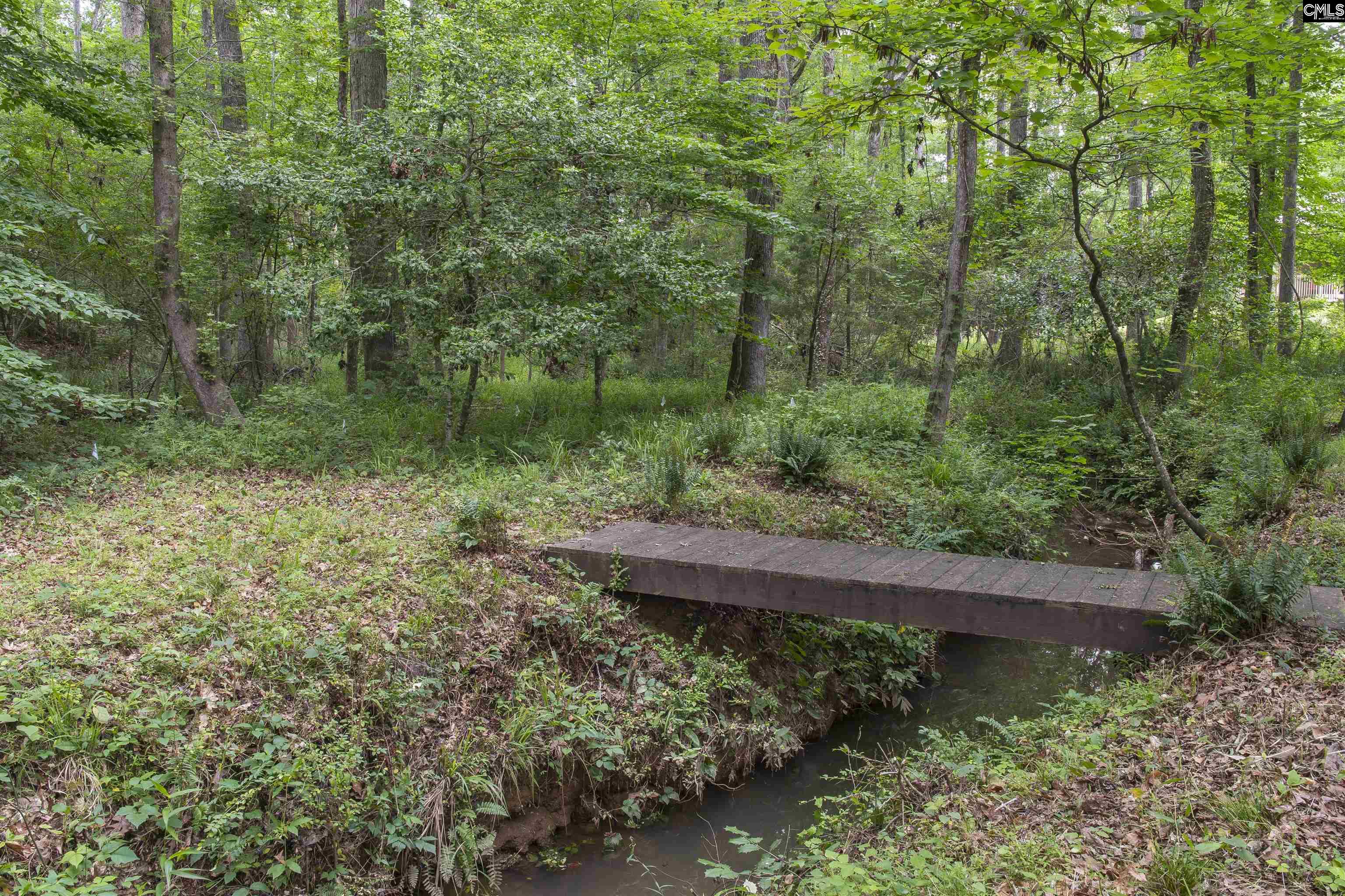 101 Woolbright Avenue Chapin, SC 29036 - Photo 55 of 61