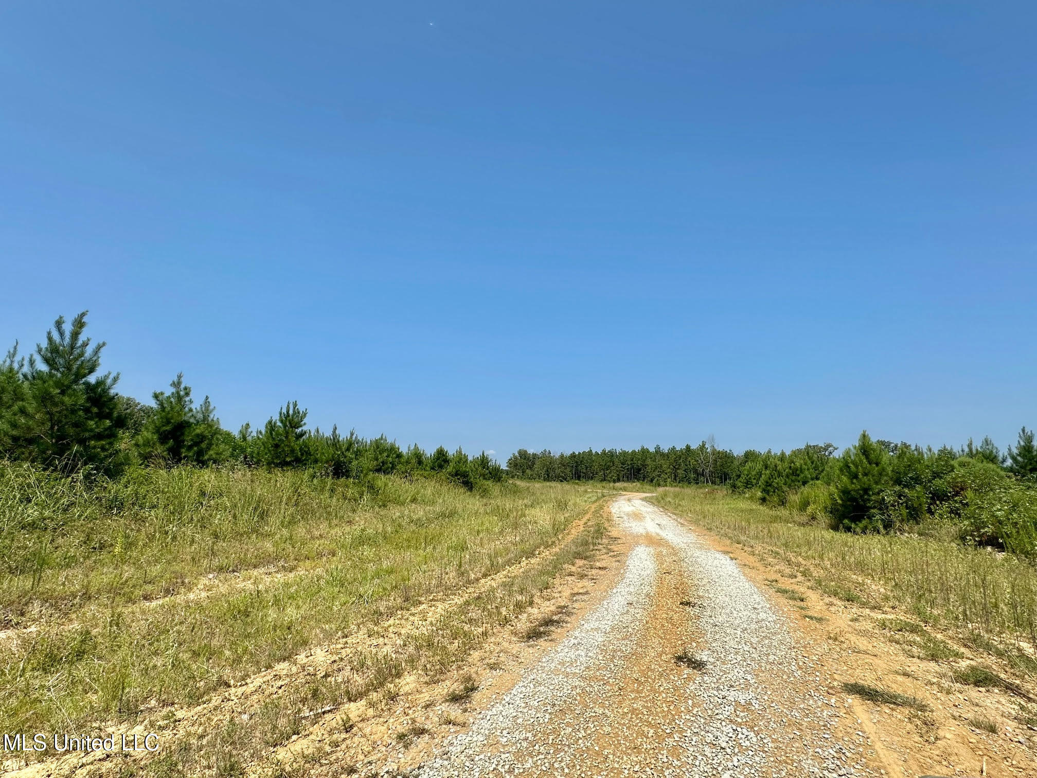 1 Highway 25 Fulton, MS 38843 - Photo 14 of 68 103