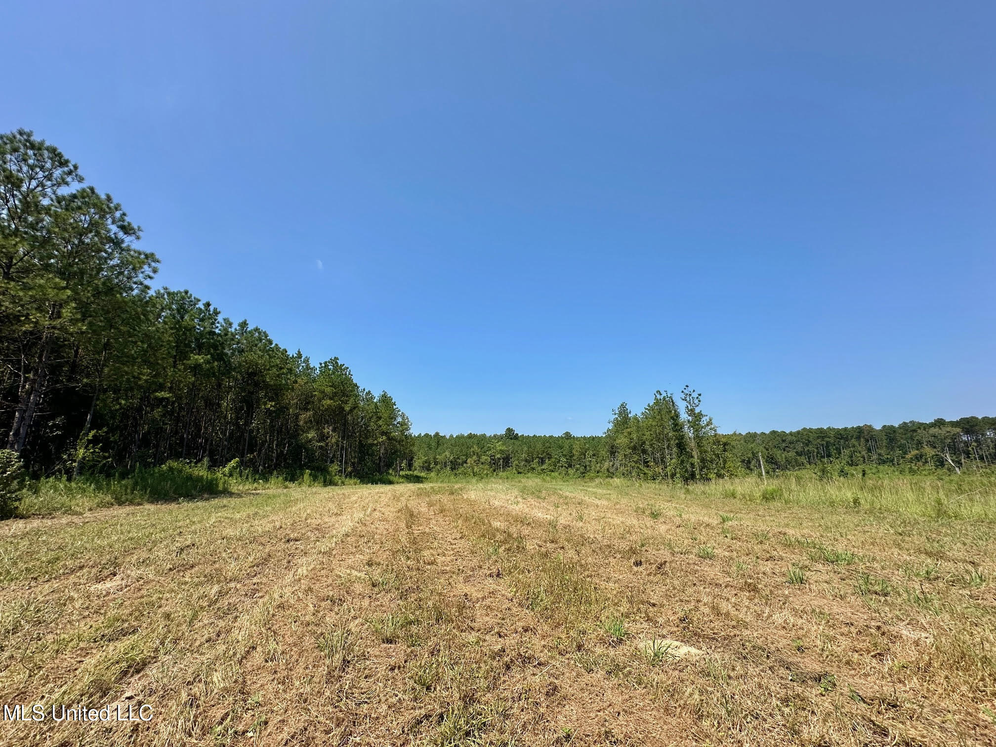 1 Highway 25 Fulton, MS 38843 - Photo 18 of 68 107