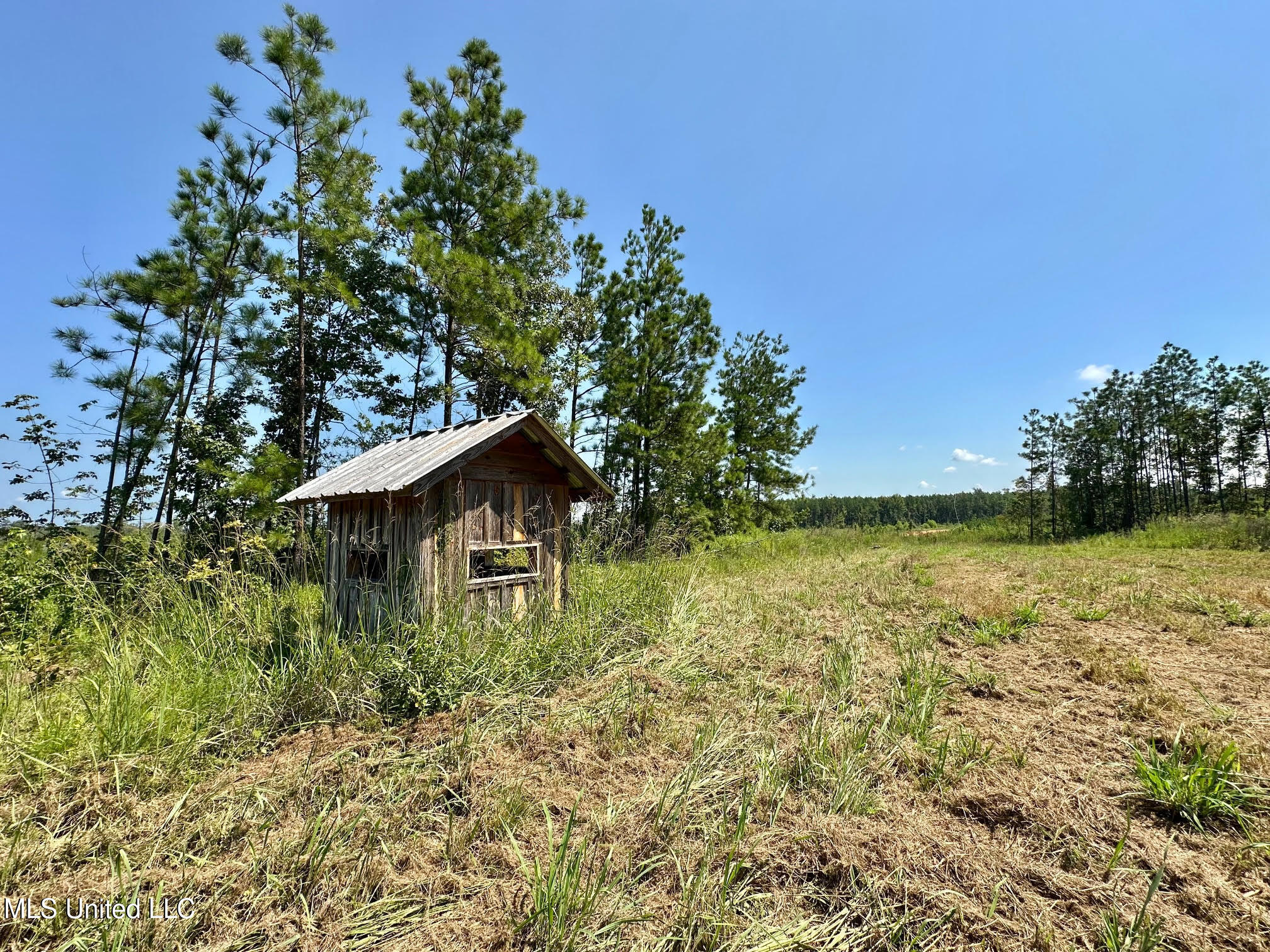 1 Highway 25 Fulton, MS 38843 - Photo 20 of 68 109
