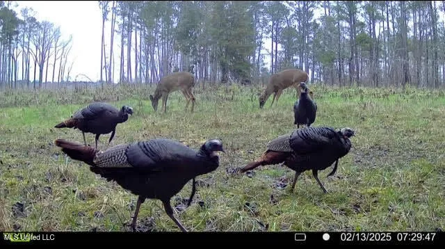 $3,300,000 | 1 Highway 25, Fulton, MS 38843