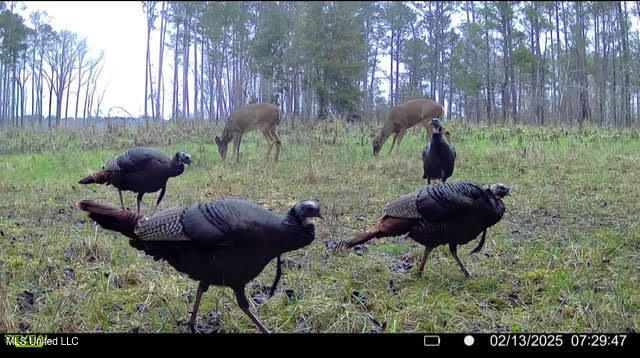 1 Highway 25 Fulton, MS 38843 - Photo 2 of 68 38