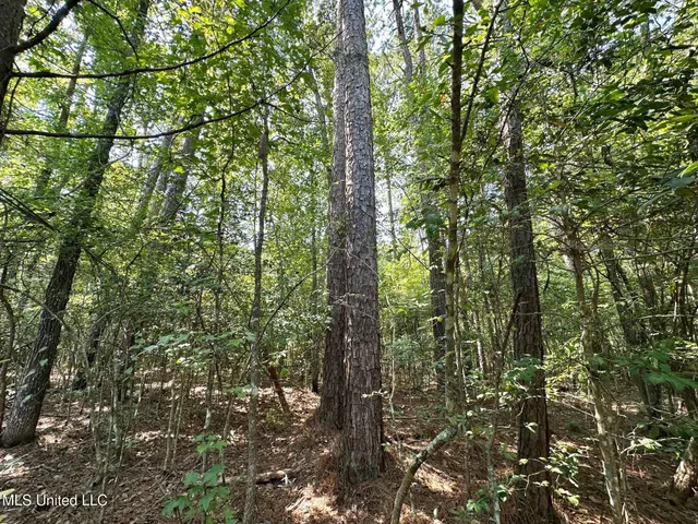 $3,300,000 | 1 Highway 25, Fulton, MS 38843