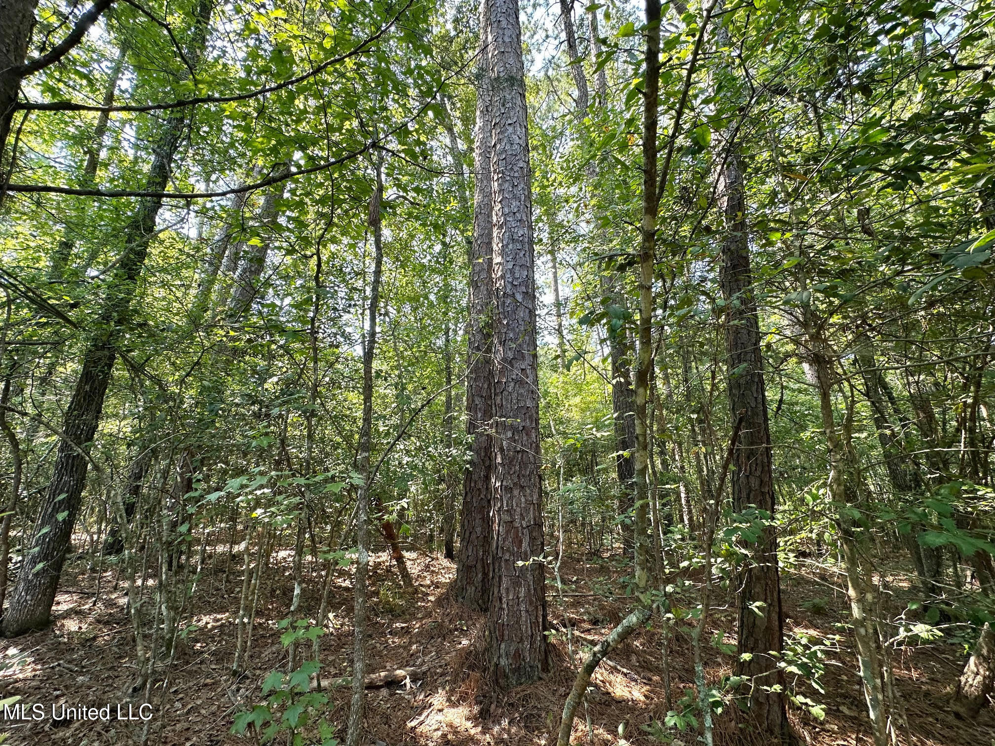 1 Highway 25 Fulton, MS 38843 - Photo 25 of 68 114