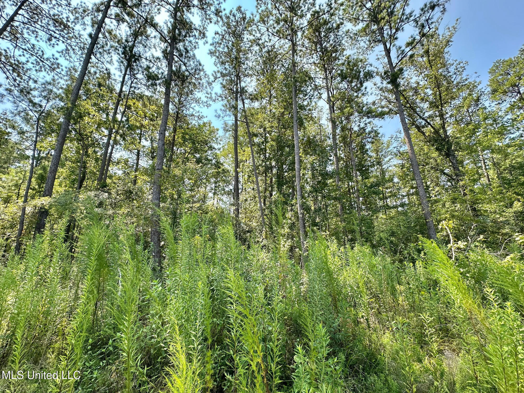 1 Highway 25 Fulton, MS 38843 - Photo 27 of 68 116