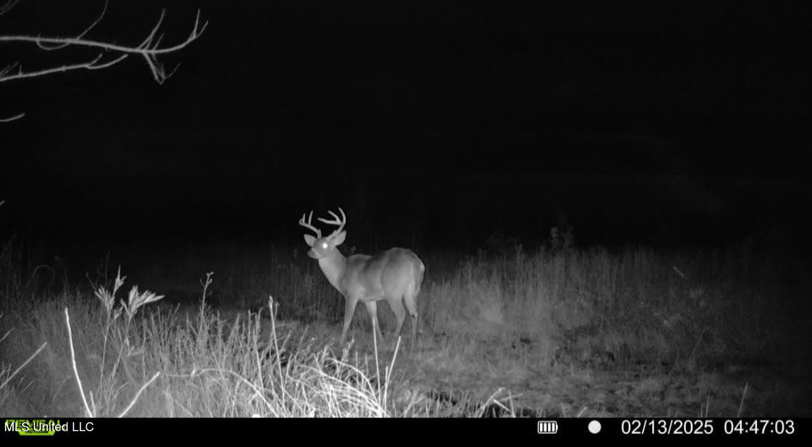 1 Highway 25 Fulton, MS 38843 - Photo 3 of 68 39