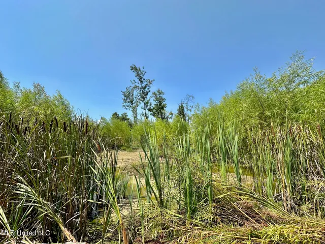 $3,300,000 | 1 Highway 25, Fulton, MS 38843