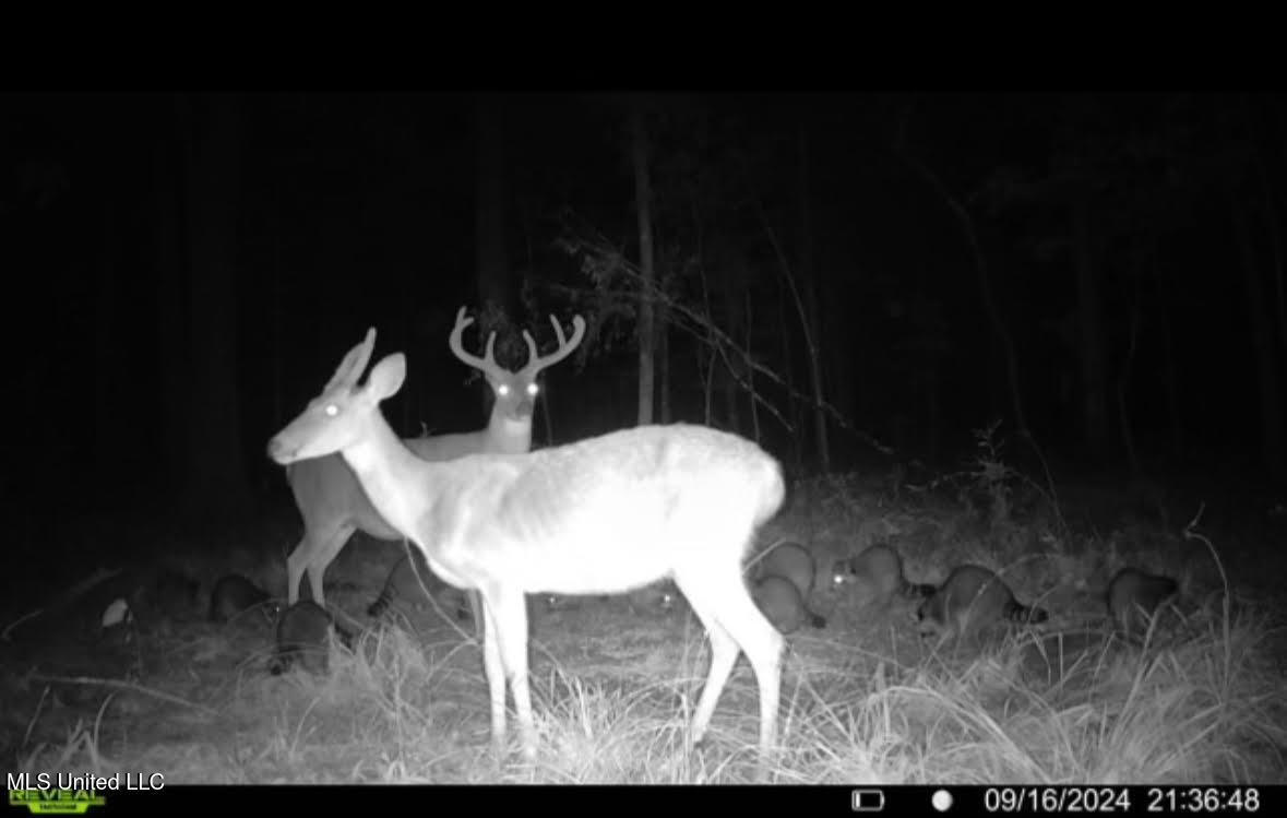 1 Highway 25 Fulton, MS 38843 - Photo 4 of 68 40