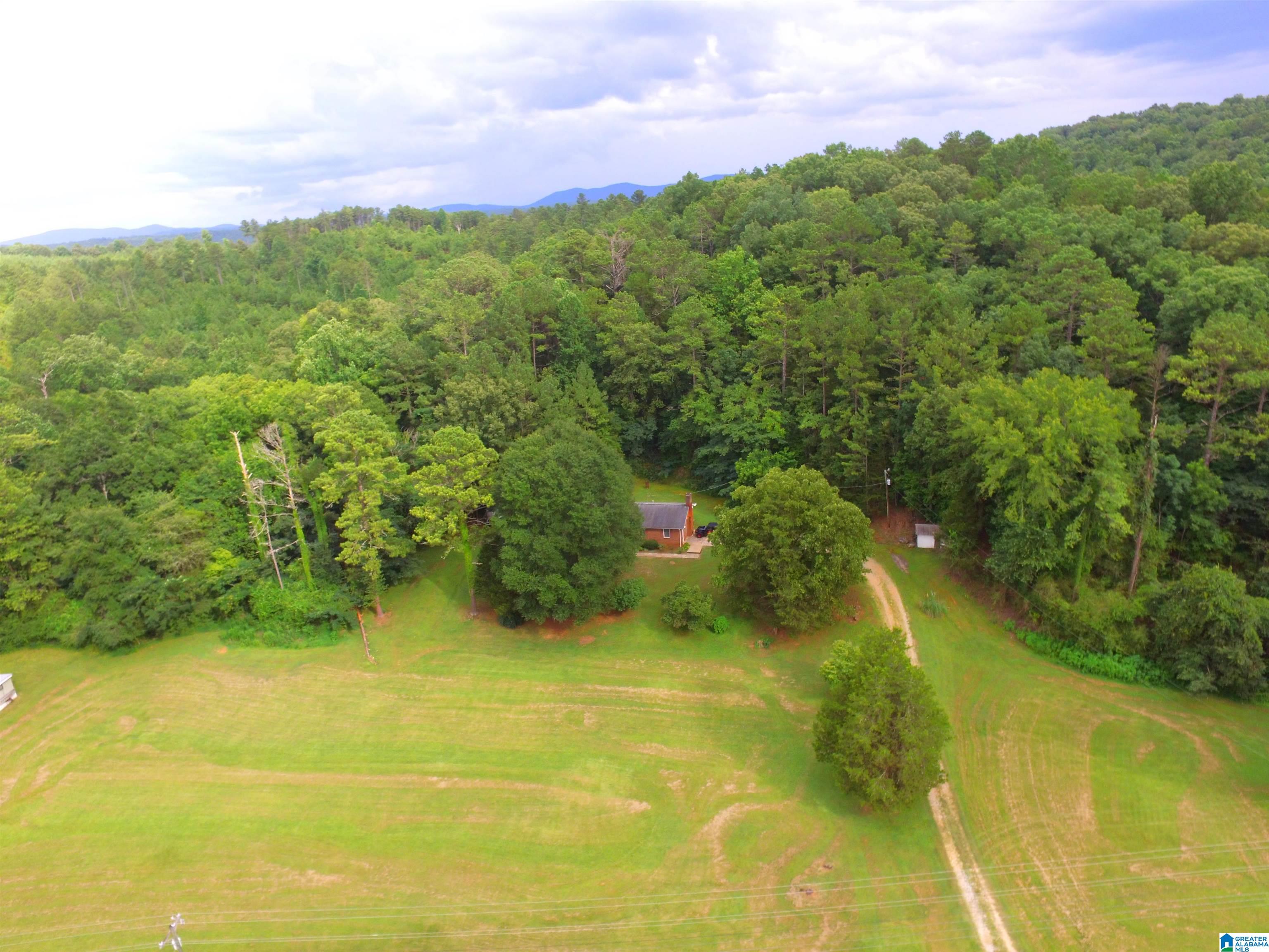 4041 Allison Mill Road Talladega, AL 35160 - Photo 14 of 53