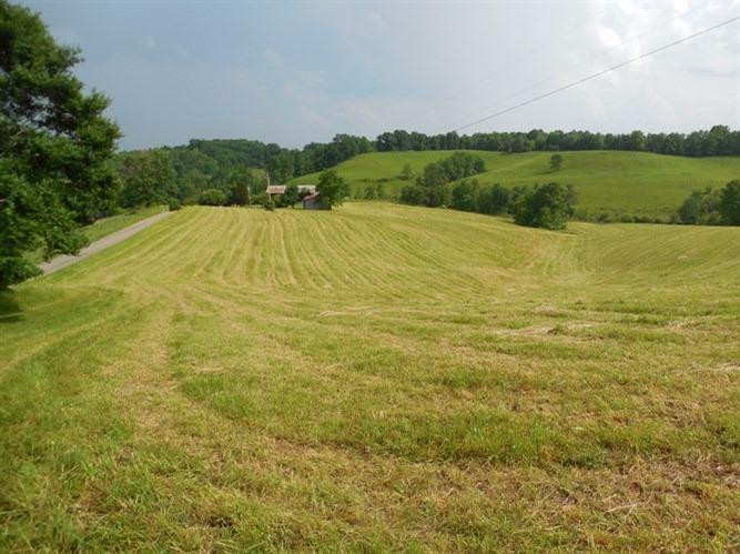 563 Keeton Lake Road Wellington, KY 40387 - Photo 5 of 76 Photo 5